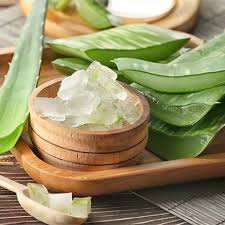 Aloe Vera for Skin: Benefits, Science and Why It Matters in Everyday Skincare